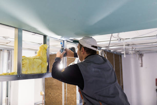 Best Home Insulation Services  in California, MO