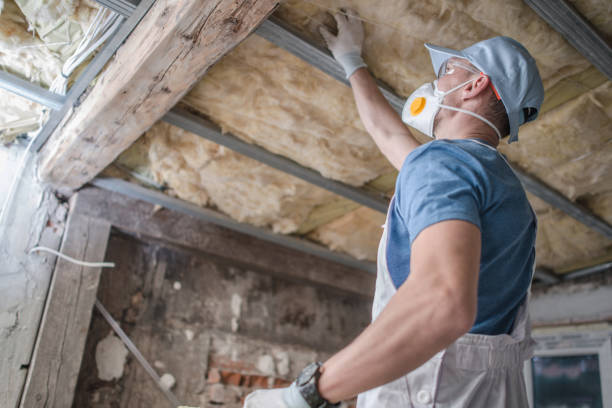 Best Wall Insulation Contractor  in California, MO