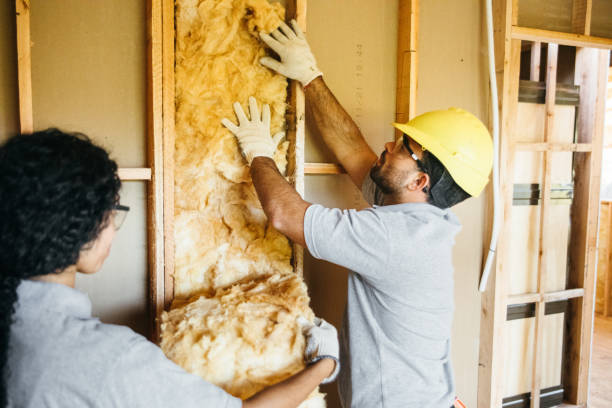 Best Insulation Inspection Services  in California, MO