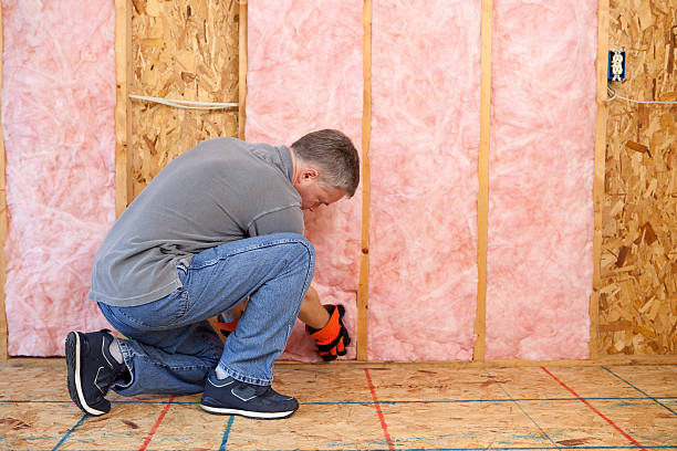 Best Attic Insulation Installation  in California, MO