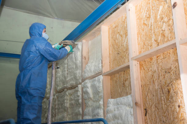 Best Energy-efficient Insulation  in California, MO