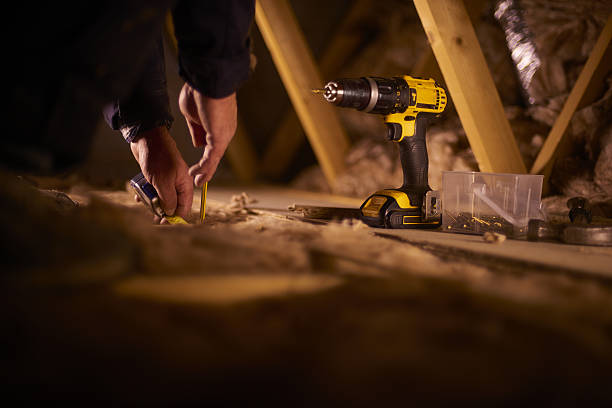 Best Insulation Removal  in California, MO